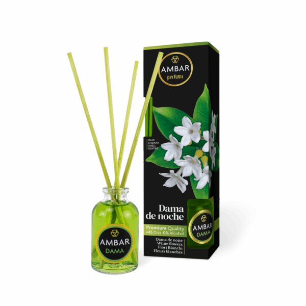 Ambar, mikado dama de noche